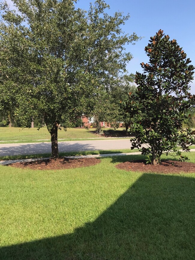 Building Photo - EXECUTIVE HOME IN WILD WING PLANTATION