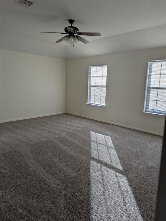 Building Photo - 3919 Hollow Cove Ln
