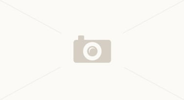 Building Photo - 508 Wharf Ct