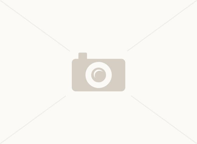Building Photo - 508 Wharf Ct
