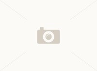 Building Photo - 508 Wharf Ct