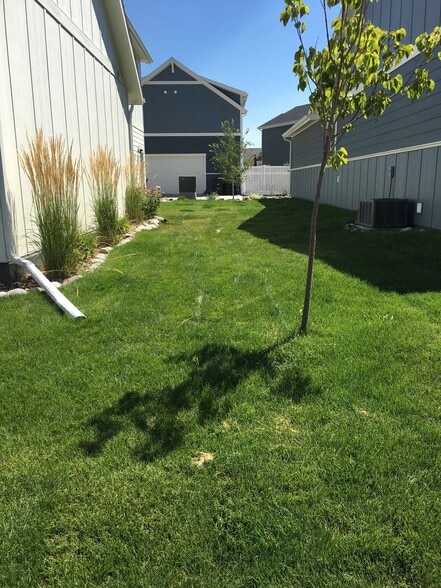 Yard - 1711 Lone Pine Dr