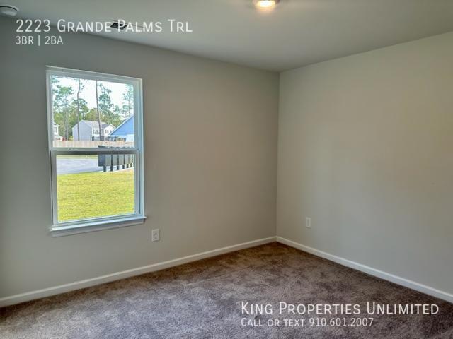 Building Photo - 2223 Grande Palms Trl