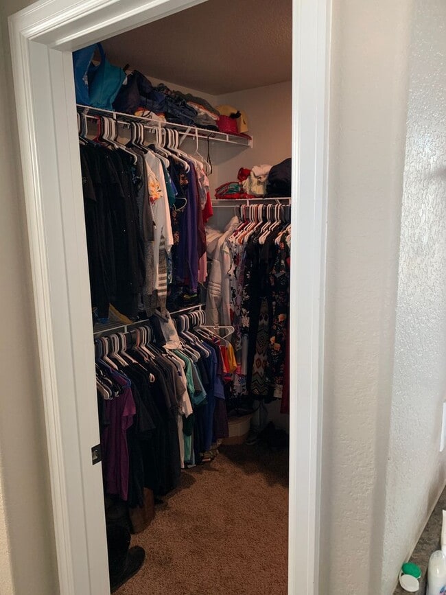 Building Photo - Beautiful 4 Bed,  3 Bath -Corner Lot Home in Pelican Farms – Windsor