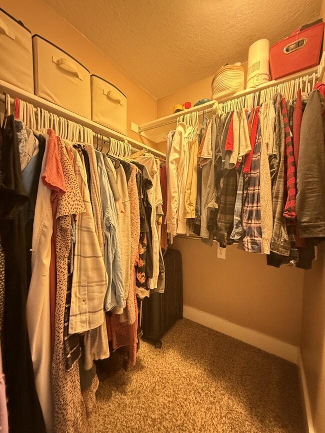 Building Photo - 12733 Stormy Meadow Dr