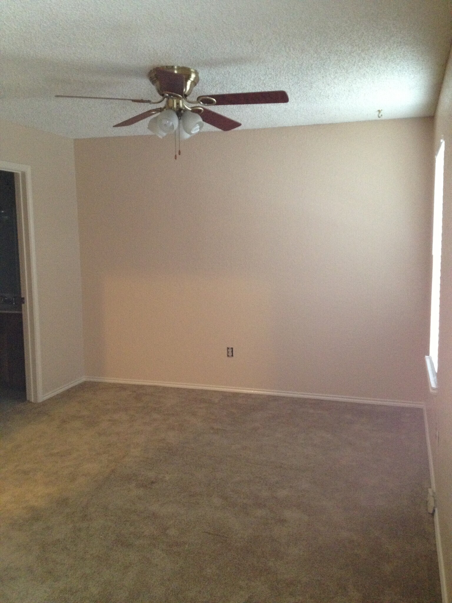 Building Photo - 505 Pecan Acres Ct