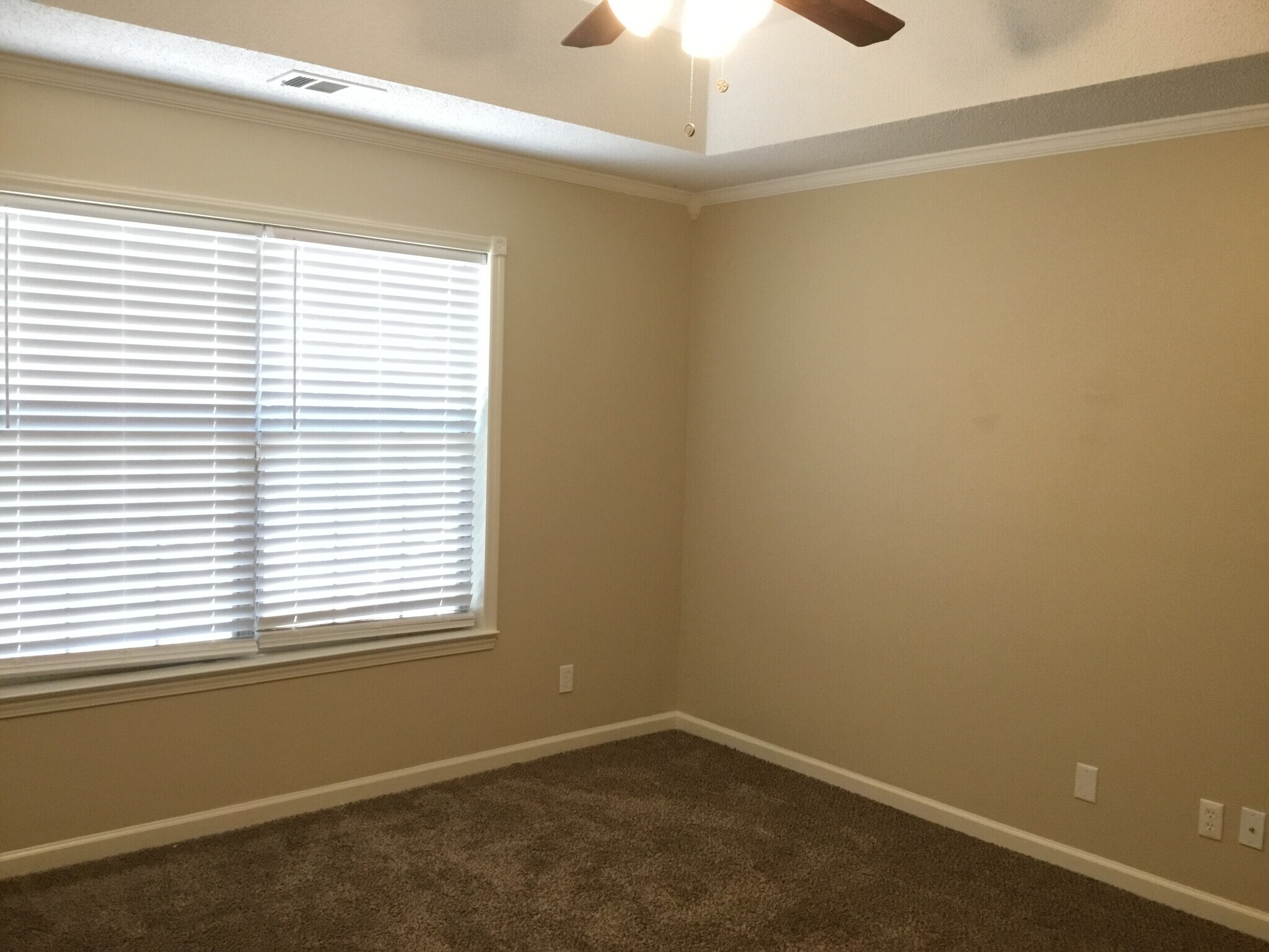 Building Photo - 311 Coffee Bluff Villa Rd