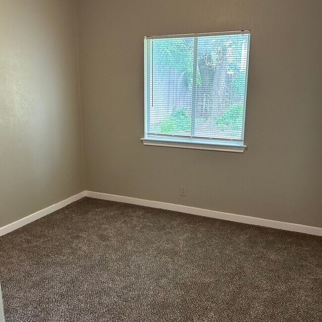 Building Photo - 1217 Armadillo Rd