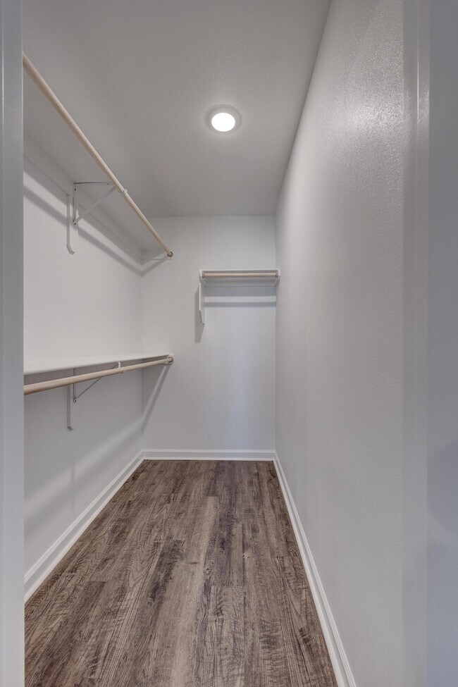 Building Photo - 707 Short Leaf Ln