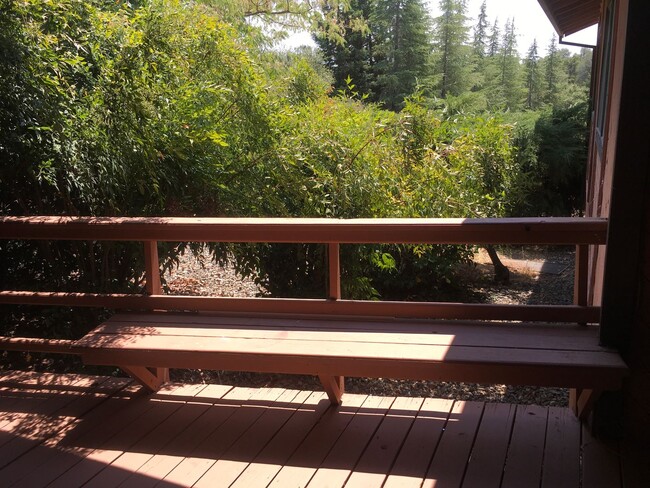 Building Photo - $1000 Move In Special! Available for Move In!