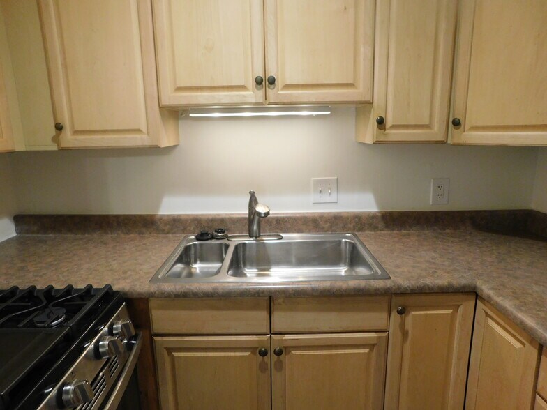 Updated cabinetsm counter & sink - 6910 Colonial Woods Dr