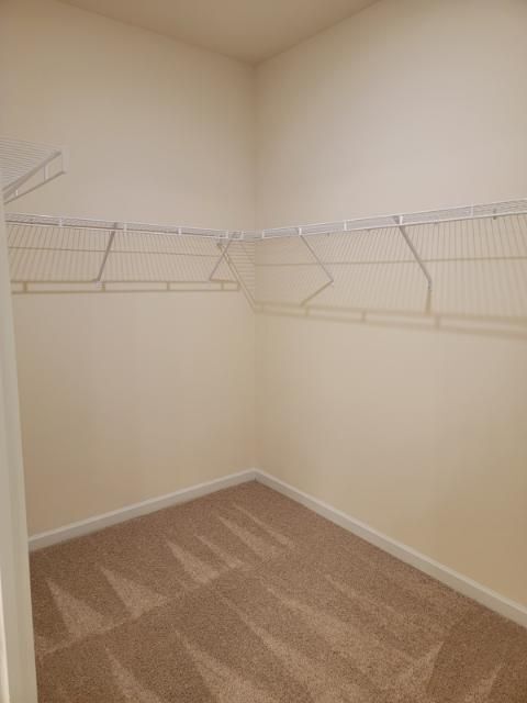 Building Photo - 160 Madison Bend