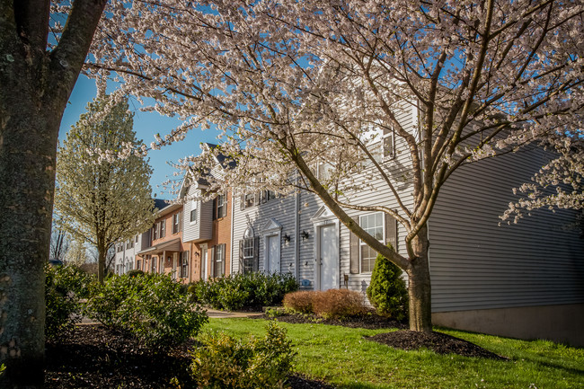 Building Photo - Charleston Townhouses