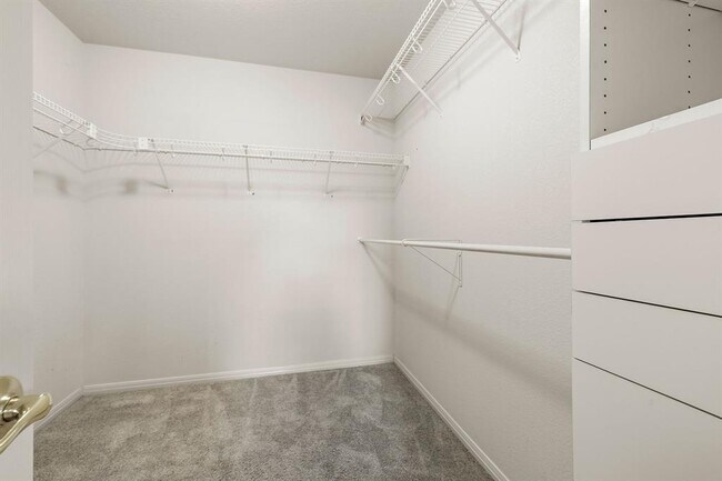 Building Photo - 2505 Merion Cove