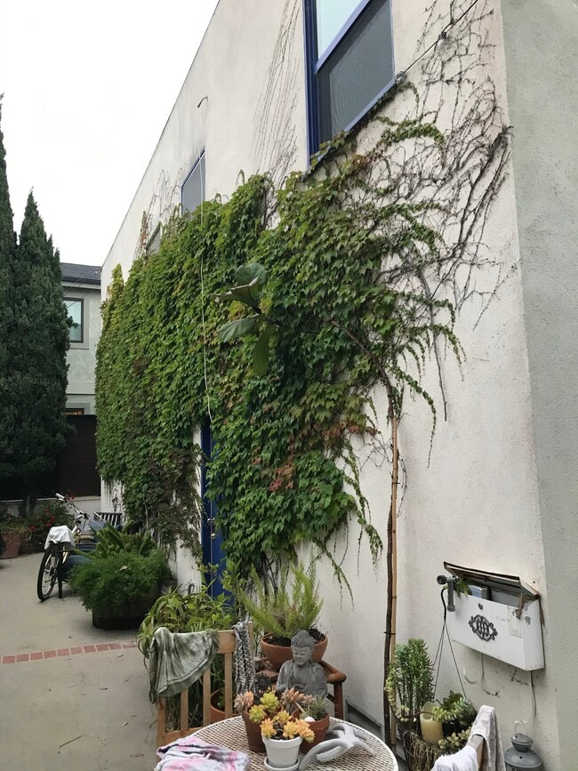 Back Courtyard - 1042 Pearl St