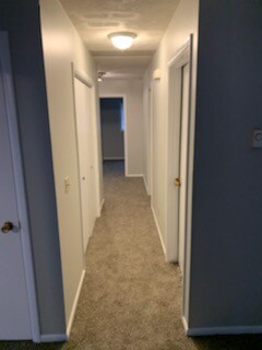 Building Photo - 2345 Stace St