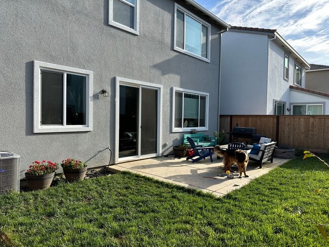 Building Photo - PET FRIENDLY