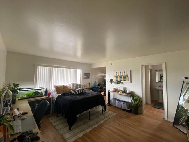 Building Photo - Coming Soon!! Downstairs studio, with water, trash and basic cable included!