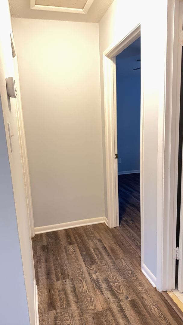 Building Photo - Cozy Two Bedroom Duplex on South End HHI