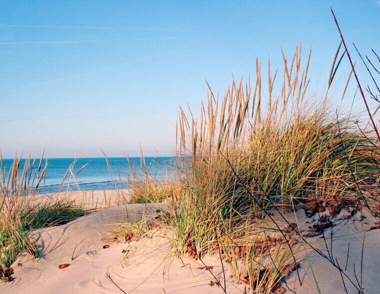 Building Photo - 3982 Malbec Dr