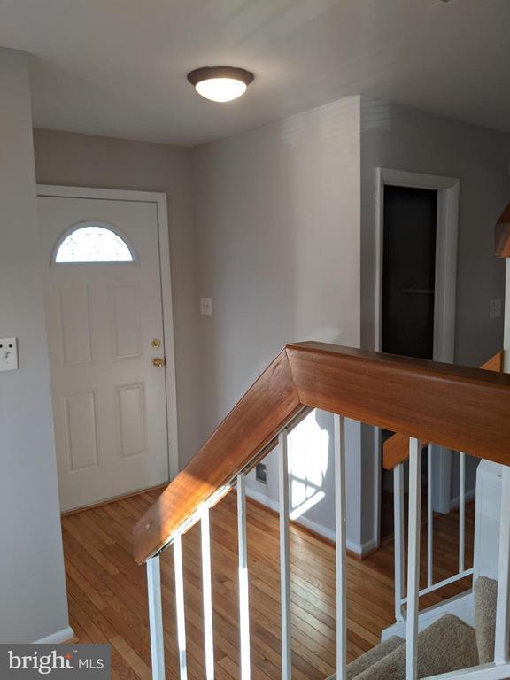 Building Photo - 3036 White Birch Ct