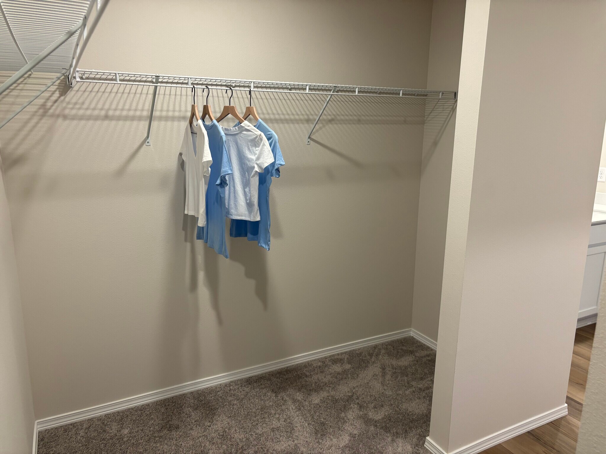 Master walk in closet - 94 E Spirea Ln