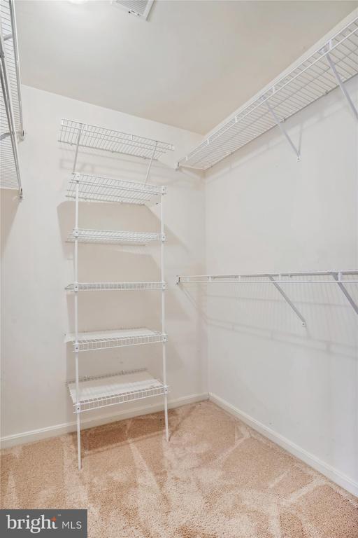 Building Photo - 8427 Carmela Cir