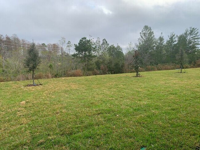 Building Photo - Brand New DH Horton Home For Rent In Coast...