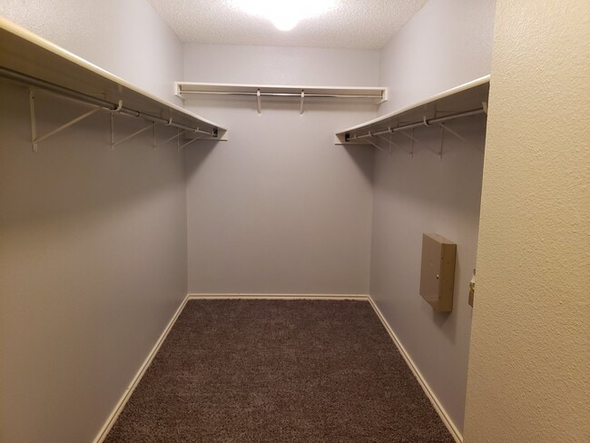 Building Photo - Huge 4 bed 2.5 bath house newly renovated