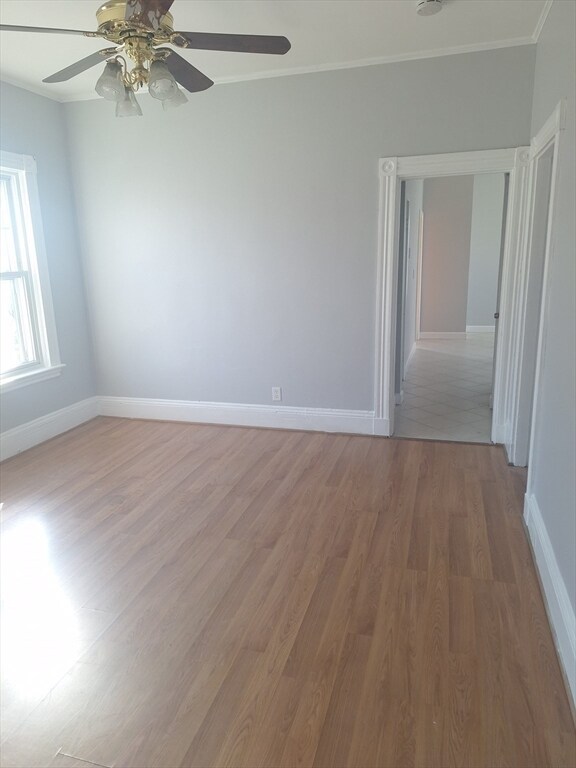 Building Photo - 49 Byron St