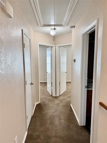 Building Photo - 2320 Aldergate Dr