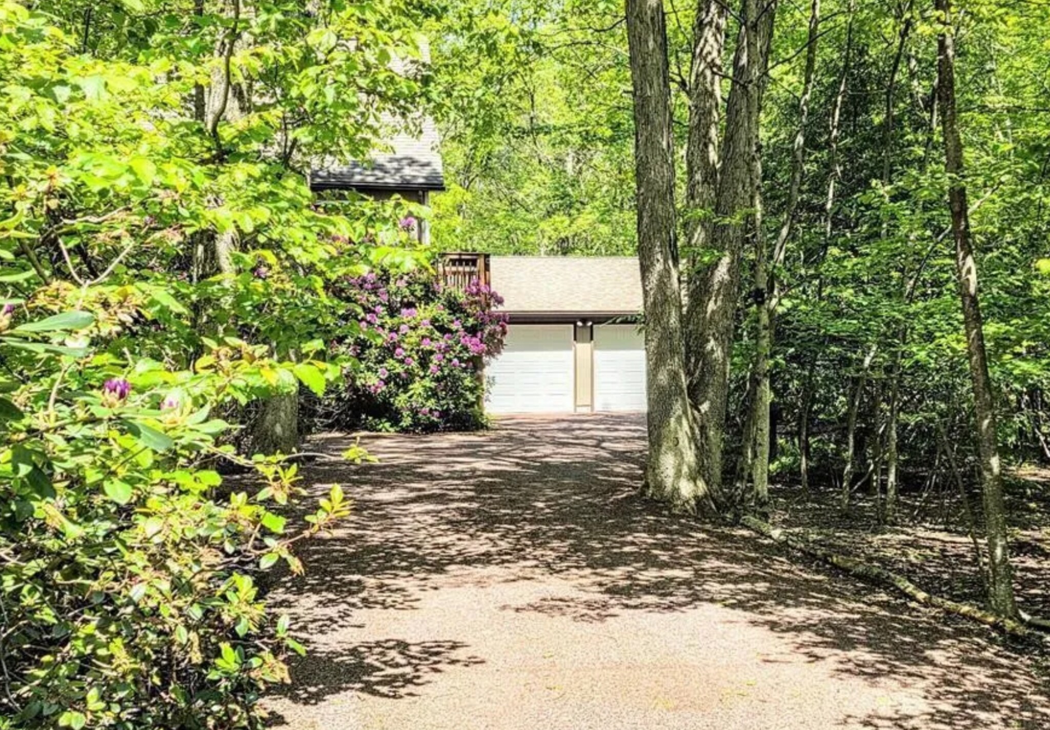 Building Photo - 161 Piney Woods Dr