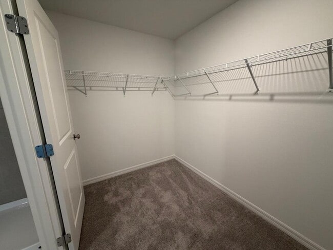 Building Photo - 2155 Lone Oak Ln