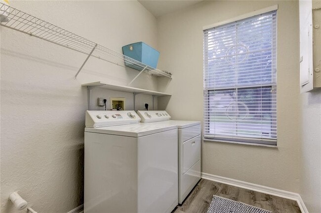Building Photo - 3147 Brooker Creek Way