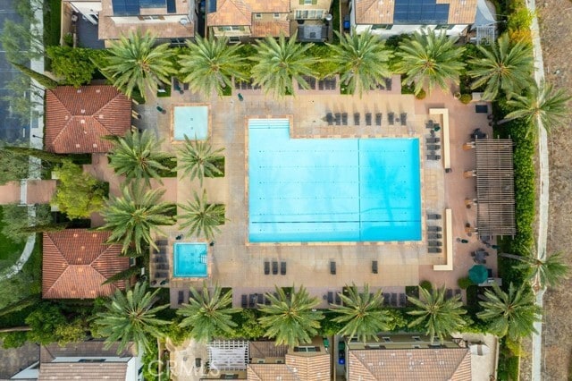 Building Photo - 204 Desert Bloom