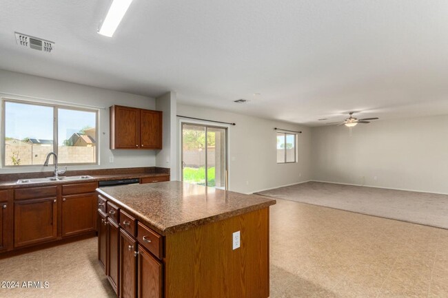 Building Photo - Spacious 4 bedroom home in Buckeye!