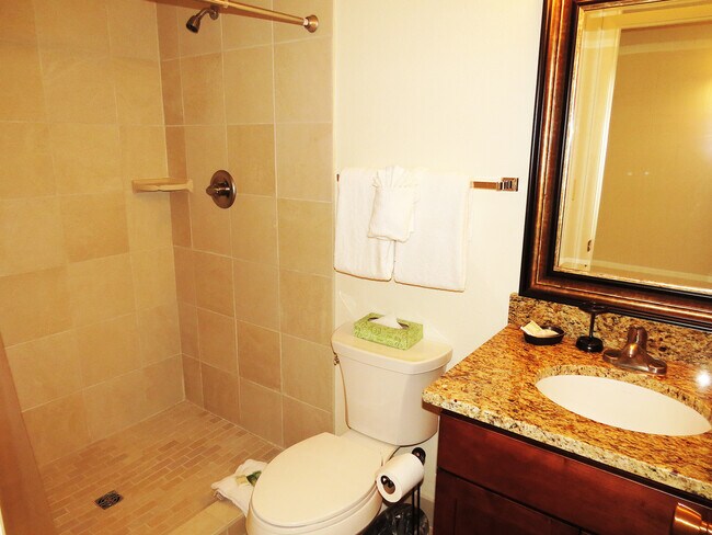 Building Photo - Winter Seasonal Rental- Lake Dillon Condos 111