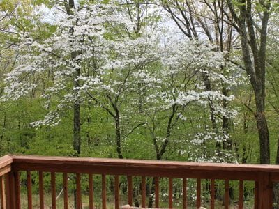 Building Photo - 808 Brushy Mountain Rd