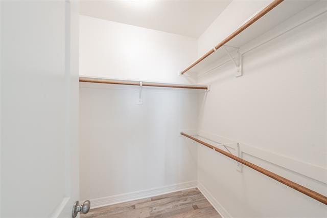 Building Photo - 1313 Catbird Dr