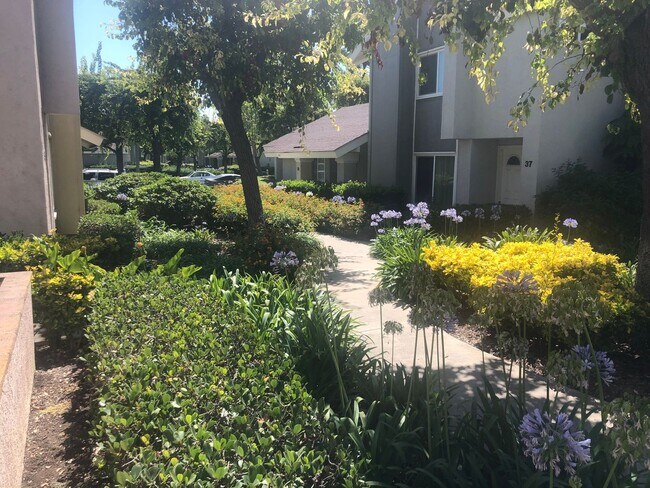 Building Photo - **Coming Soon** Modern Irvine Townhome in ...