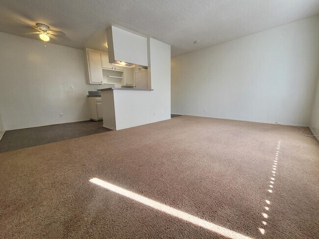 Interior Photo - 3731 Canfield Ave