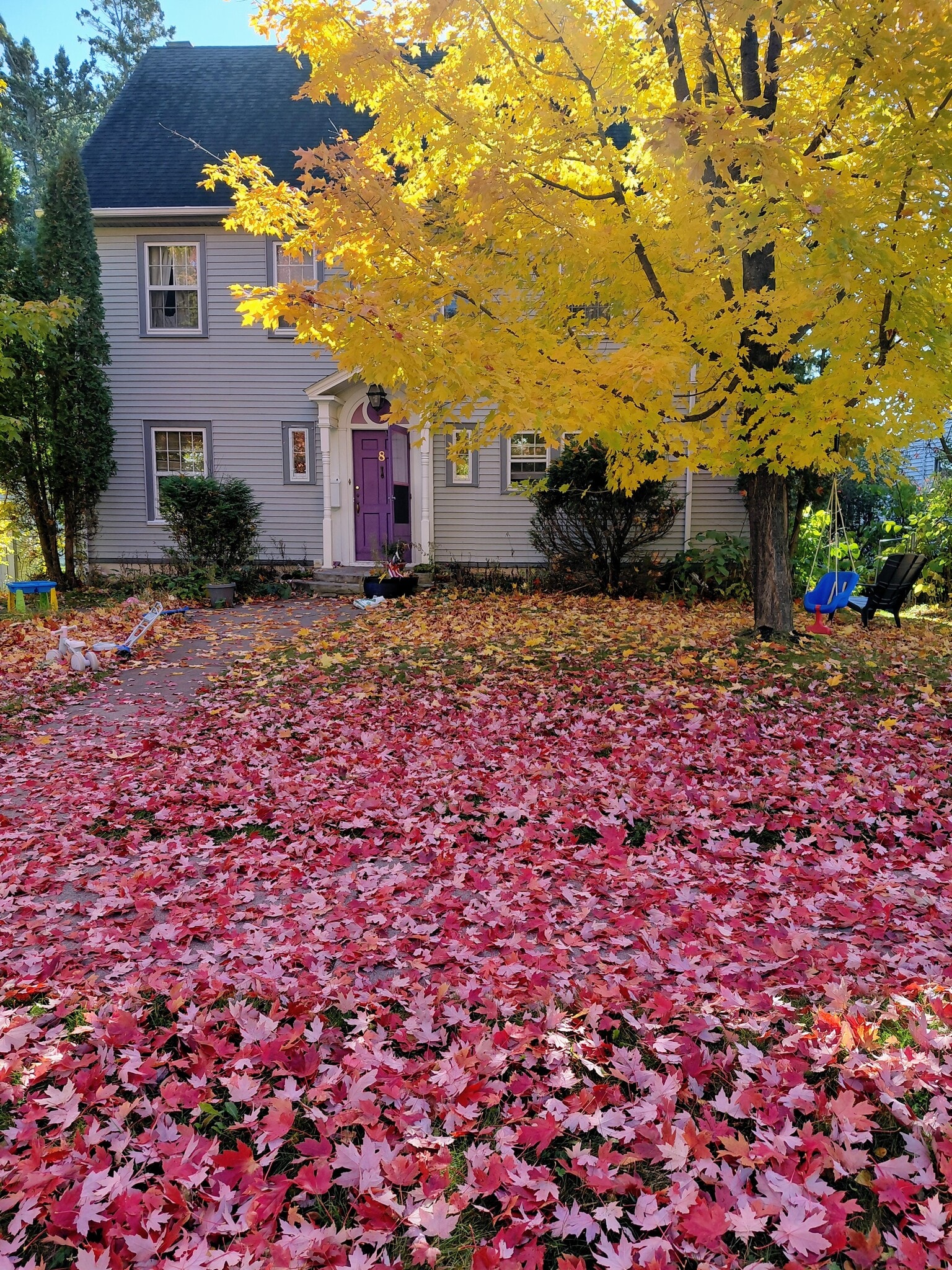 Building Photo - 8 E College St