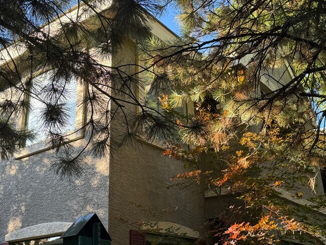 Building Photo - 900 S Meadows Pky