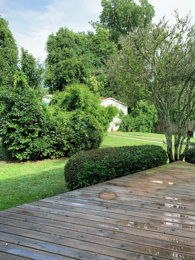 Building Photo - Beautiful Historic 3 Bedroom 2 Bath House on Colonial Drive