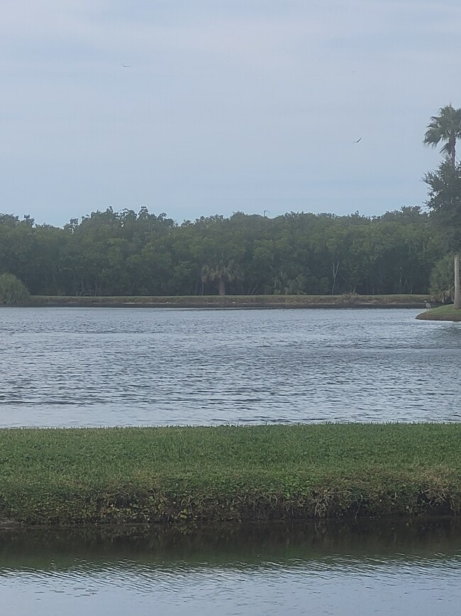 Building Photo - 10037 62nd Ter