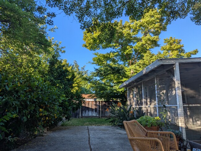 Building Photo - 3985 Royal Arch Dr