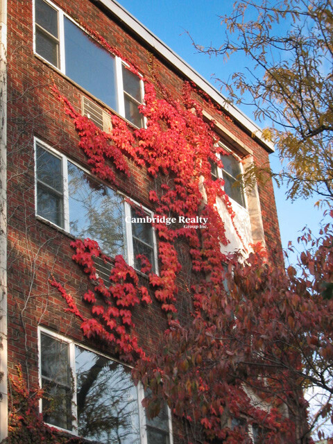 Building Photo - 269 Harvard St