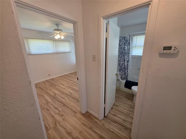 Building Photo - 308 Inez St