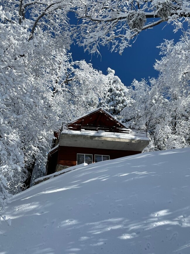 Building Photo - 28625 Willow Rd