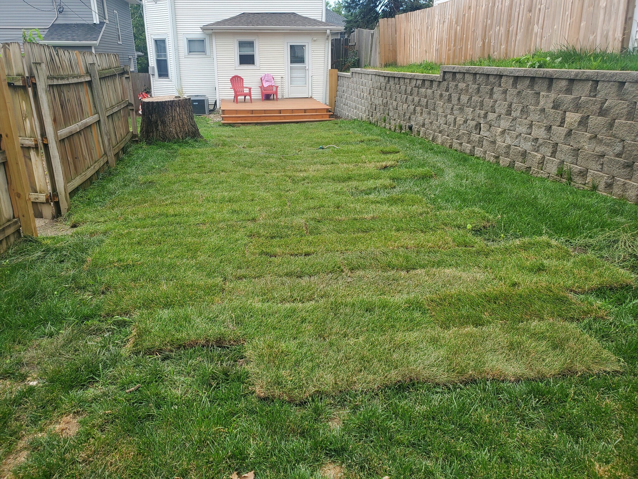 Building Photo - 3560 Jones St